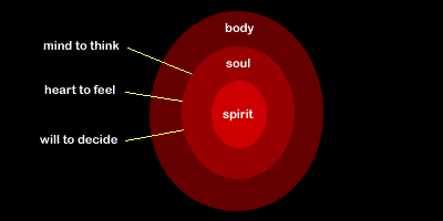 Where In Your Body Is Your Soul?